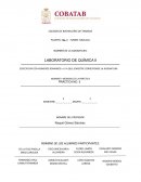 Practica soluciones a diferentes concentraciones