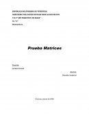 Tarea sobre matrices con conceptos y ejercicios