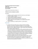 Los distintos significados de Democracia