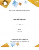 Paso 4: Aplicación y análisis del instrumento de Ciberbullying