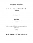 Instrumento de evaluacion de desempeño Competencias laborales LAP S.A.S