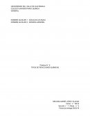 Práctica N.° 6 TIPOS DE REACCIONES QUÍMICAS