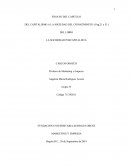 ENSAYO DEL CAPITULO DEL CAPITALISMO A LA SOCIEDAD DEL CONOCIMINETO