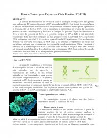 RTPCR. Página 1