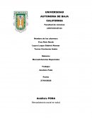 Análisis FODA Mercadotecnia social en salud