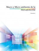 Macro y Micro ambiente de la mercadotecnia