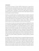 Antecedentes de la piña