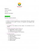 ¿Qué es la robótica? ¿Y un robot?