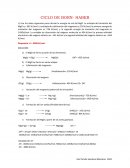 CICLO DE BORN- HABER