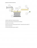 Feedback neumatica seas