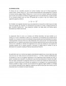 EL NÚMERO DE ORO