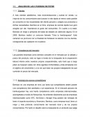 ANALISIS DE LAS 5 FUERZAS DE POTER