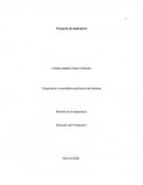 Análisis del Ejercicio ¿Qué se Solicita en Base a la Información Anterior?