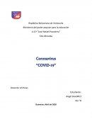 ¿Cómo comenzó el coronavirus? ¿Cómo se ha extendido por el mundo?