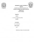 DIVISIÓN ACADÉMICA MULTIDISCIPLINARIA DE COMALCALCO