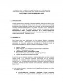 ANATOMÍA DEL SISTEMA MASTICATORIO Y DIAGNOSTICO DE TRASTORNOS TEMPOROMANDIBULARES