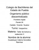 Organismo público descentralizado Portafolio digital