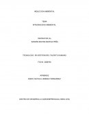 Induccion ambiental