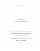 Ensayo sobre pobreza y violencia en Quibdó
