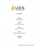 Teoría Criminológica. Actividad: Ideas de la Escuela clásica