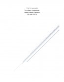 Economia. TIC´s HUAWEI