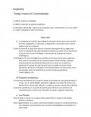 Anatomía Trabajo Practico