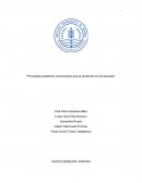 Principales problemas conductuales que se presentan en las escuelas