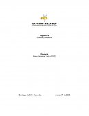 Practica profesional, área de Inspectoría del Banco de Occidente