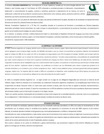TRABAJO PRACTICO: CELULOSA ARGENTINA S.A.. Página 1