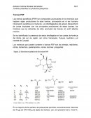 Toxinas en productos pesqueros