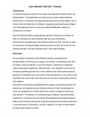 Juan Salvador Gaviota - Ensayo