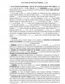 FORMATO CAPITULACIONES MATRIMONIALES