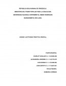 Actividad práctica Empresa POLLO SABROSO C. A