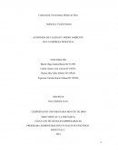 AUDITORIA DE CALIDAD Y MEDIO AMBIENTE DE LA EMPRESA INFRAVIAL