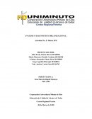 ANALISIS Y DIAGNOSTICO ORGANIZACIONAL. Matriz EFE