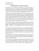 Informe Visita Técnica a la empresa Produmin