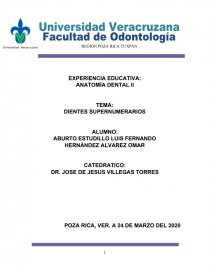 DIENTES SUPERNUMERARIOS. Página 1