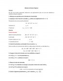 Método de Newton-Raphson