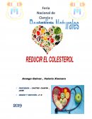 REMEDIOS CASEROS PARA REDUCIR EL COLESTEROL