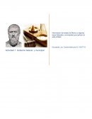 Actividad 1. Gobierno federal y municipal