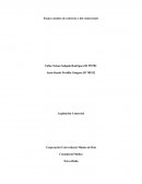 Ensayo asuntos de comercio y del comerciante