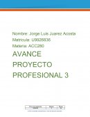 AVANCE PROYECTO PROFESIONAL 3 Comercializadora Favre S.A. de C.V.