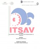 CUESTIONARIO Y EJEMPLOS DE ESTRUCTURA ORGANIZACIONAL DE EMPRESAS