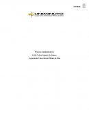 Procesos Administrativos. Informe de consultoria