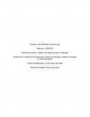 Estilos de liderazgo y trabajo en equipos de alto desempeño