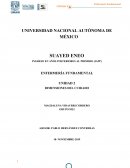 DIMENSIONES DEL CUIDADO