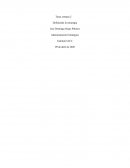 Administración estratégica Atacama Natural Maqui Berry