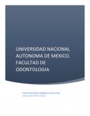 Periodontitis Apical Aguda Absceso Alveolar Agudo 1ª Fase