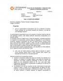 Caso: LA SOPA DE DOWNEY