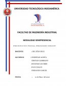 PROCEDIMIENTO END TINTAS PENETRANTES